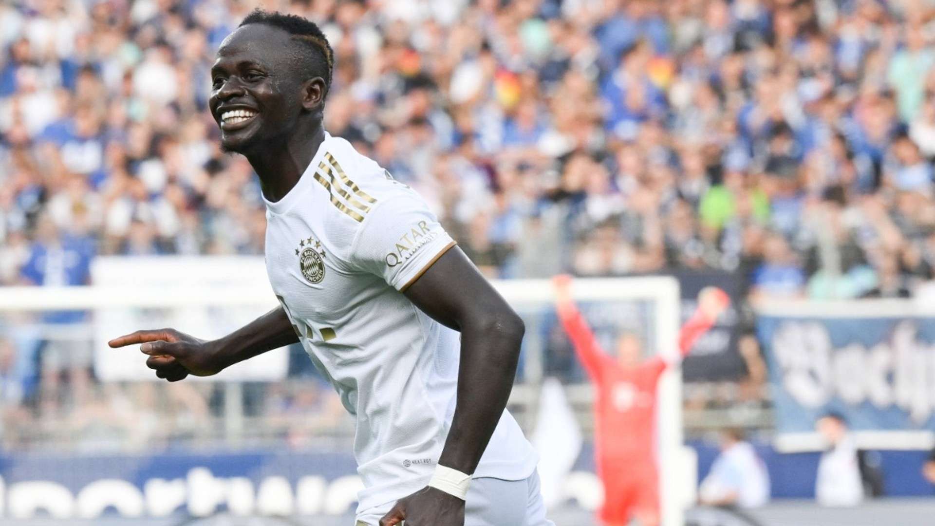 根据最新的 根据最新的