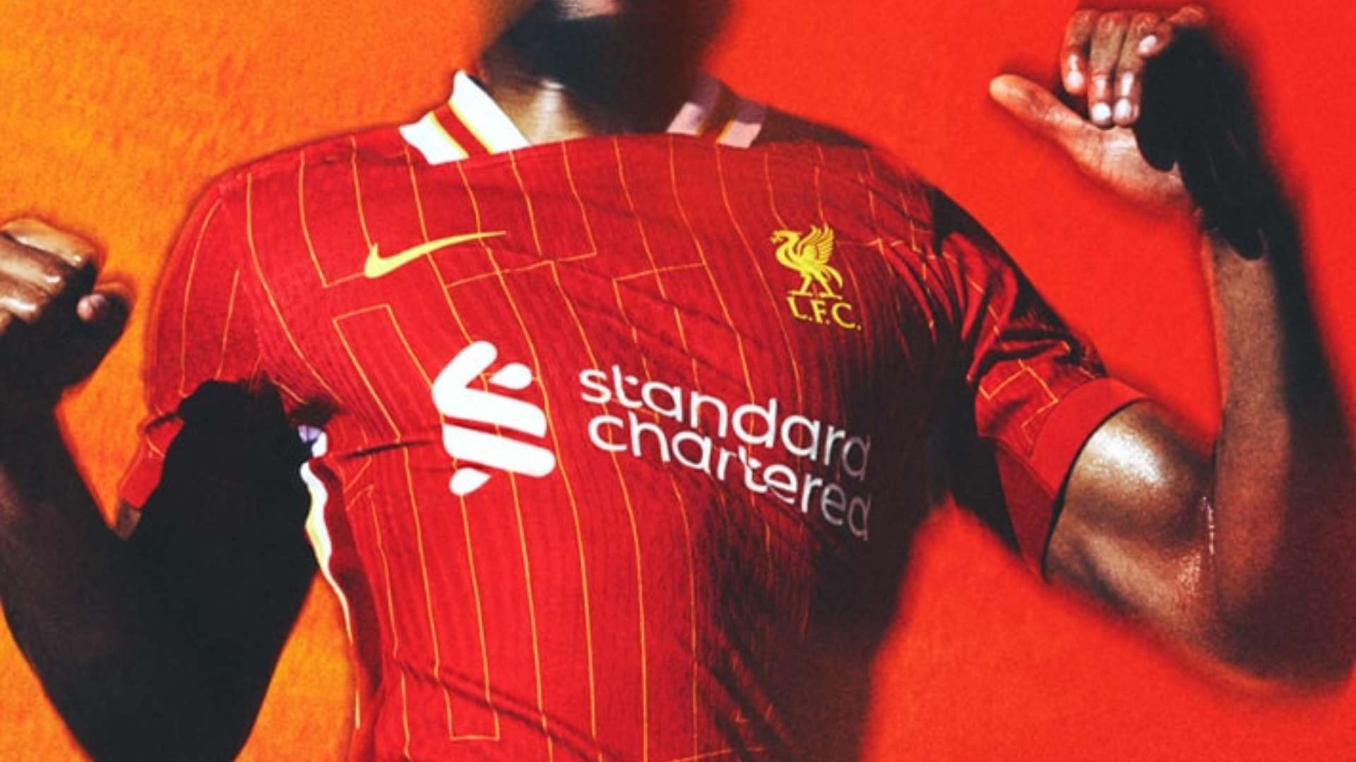 才能在未来 才能在未来