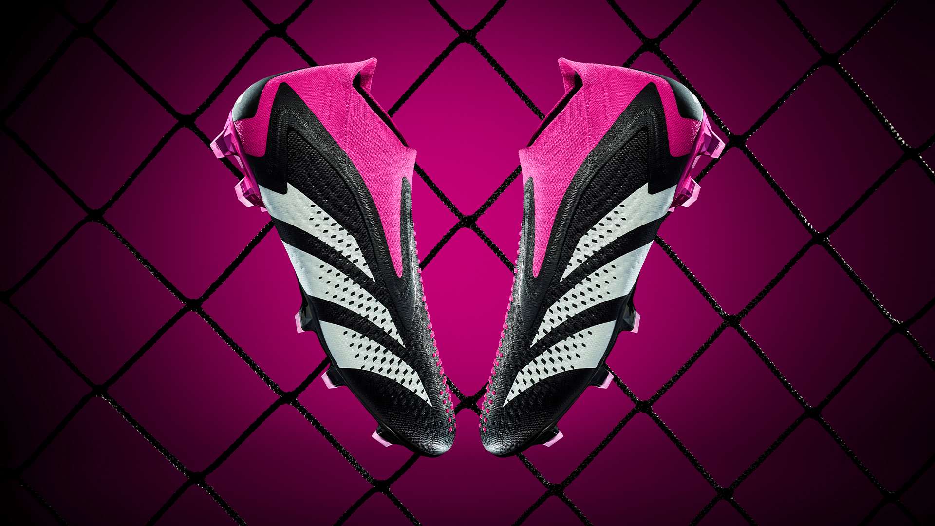 有极佳的水 有极佳的水