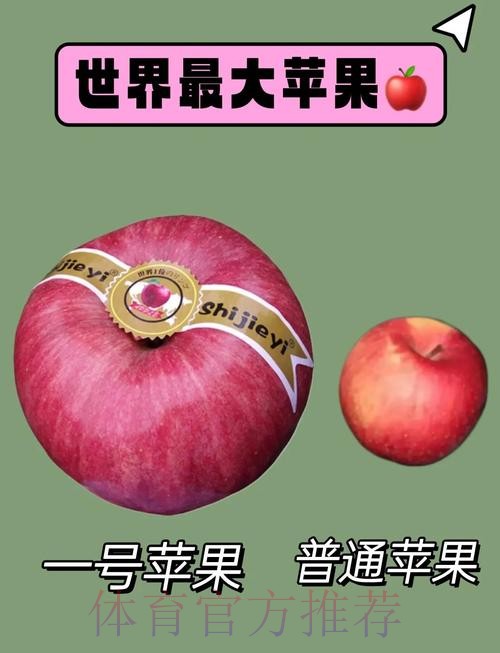 世界杯外围苹果热门 世界杯外围苹果热门